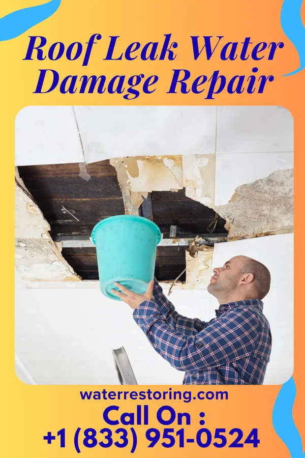 Roof Leak Water Damage Repair in Barnsdall, OK